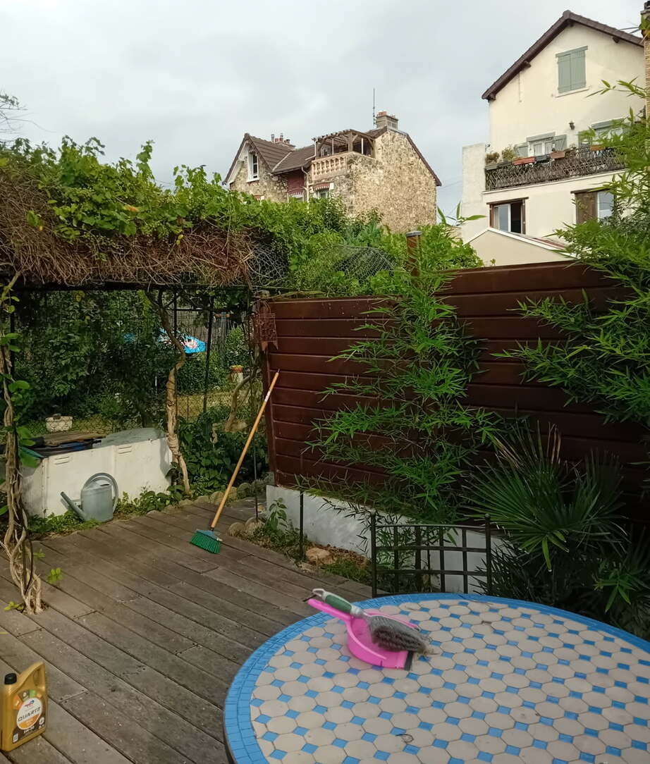 Jardin dégagé après abattage du conifère mort à Mareil-Marly