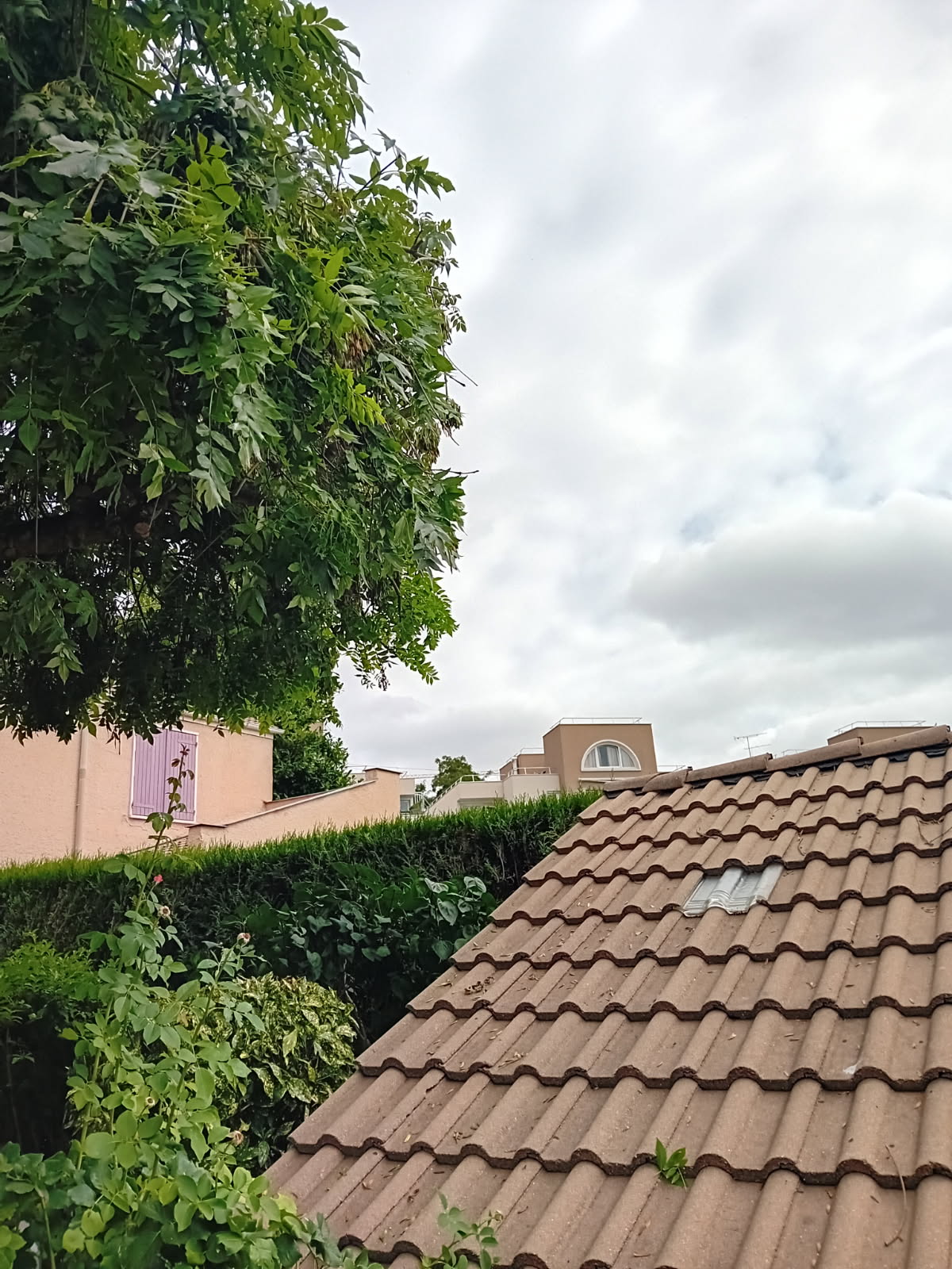 Toiture dégagée après élagage de l’arbre à Cergy