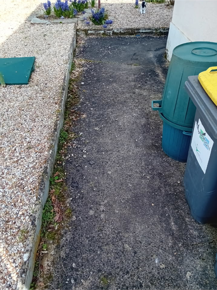 Allée envahie de mousse et d’herbe à Pontoise avant nettoyage