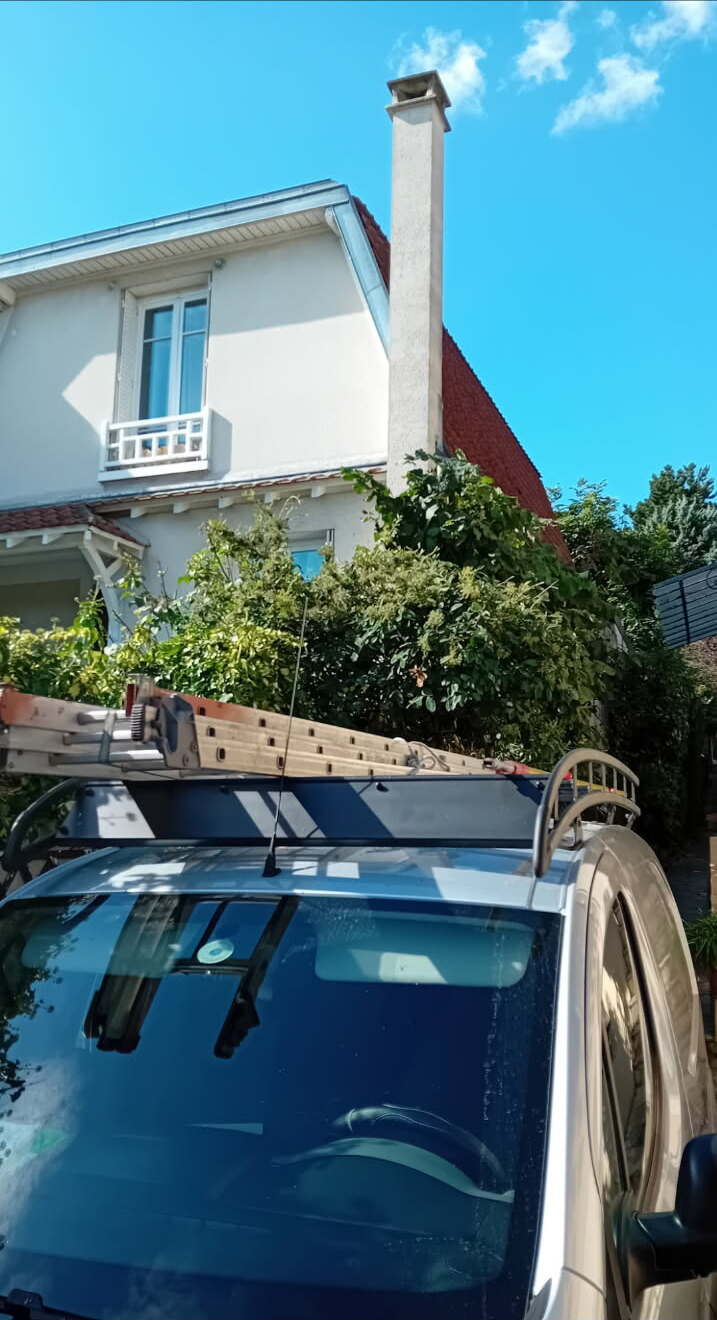 Allée dégagée après taille des arbustes à Saint-Germain-en-Laye