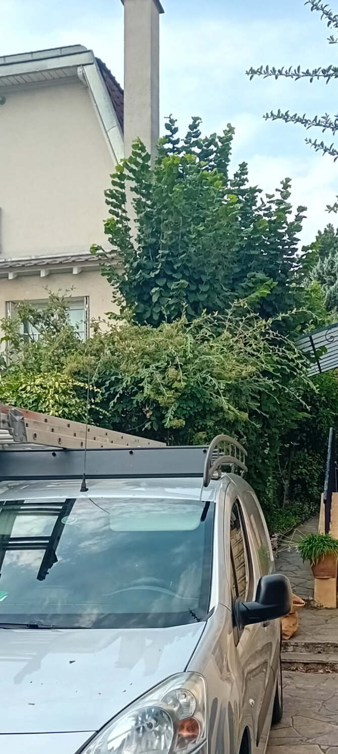 Arbustes envahissant une allée à Saint-Germain-en-Laye avant taille