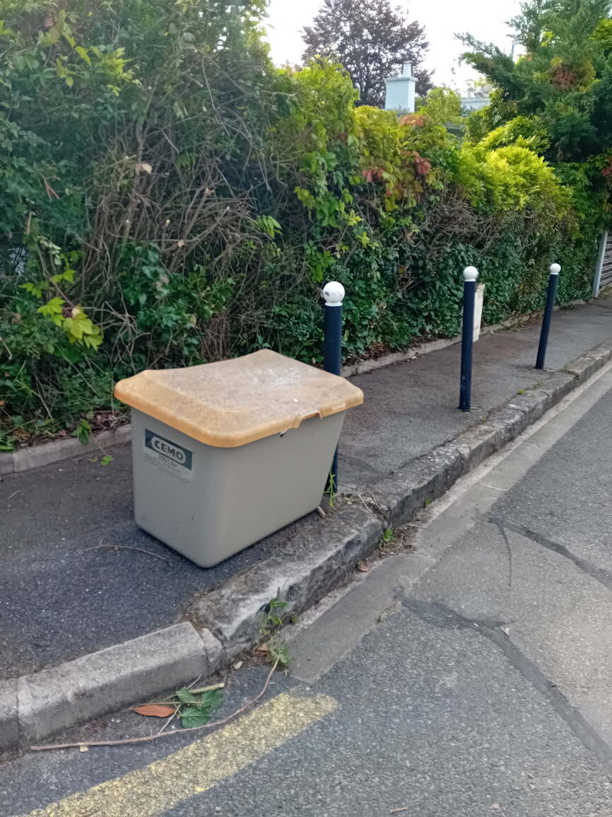 Trottoir dégagé après taille de la haie à Mareil-Marly