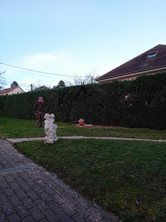 Jardin nettoyé après la taille du saule à L’Étang-la-Ville